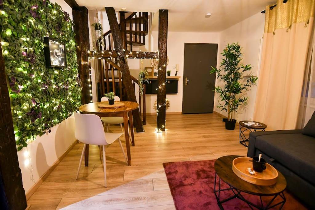 Le Petit Bali Apartment Selestat Luaran gambar